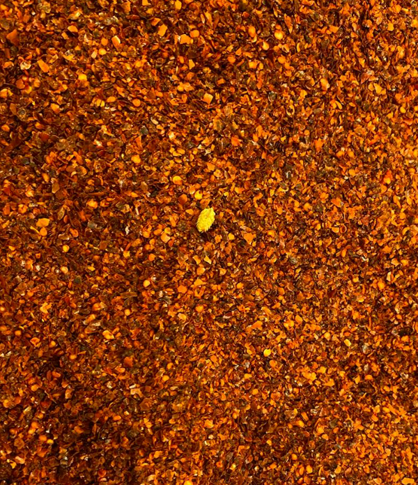 Chili Powder